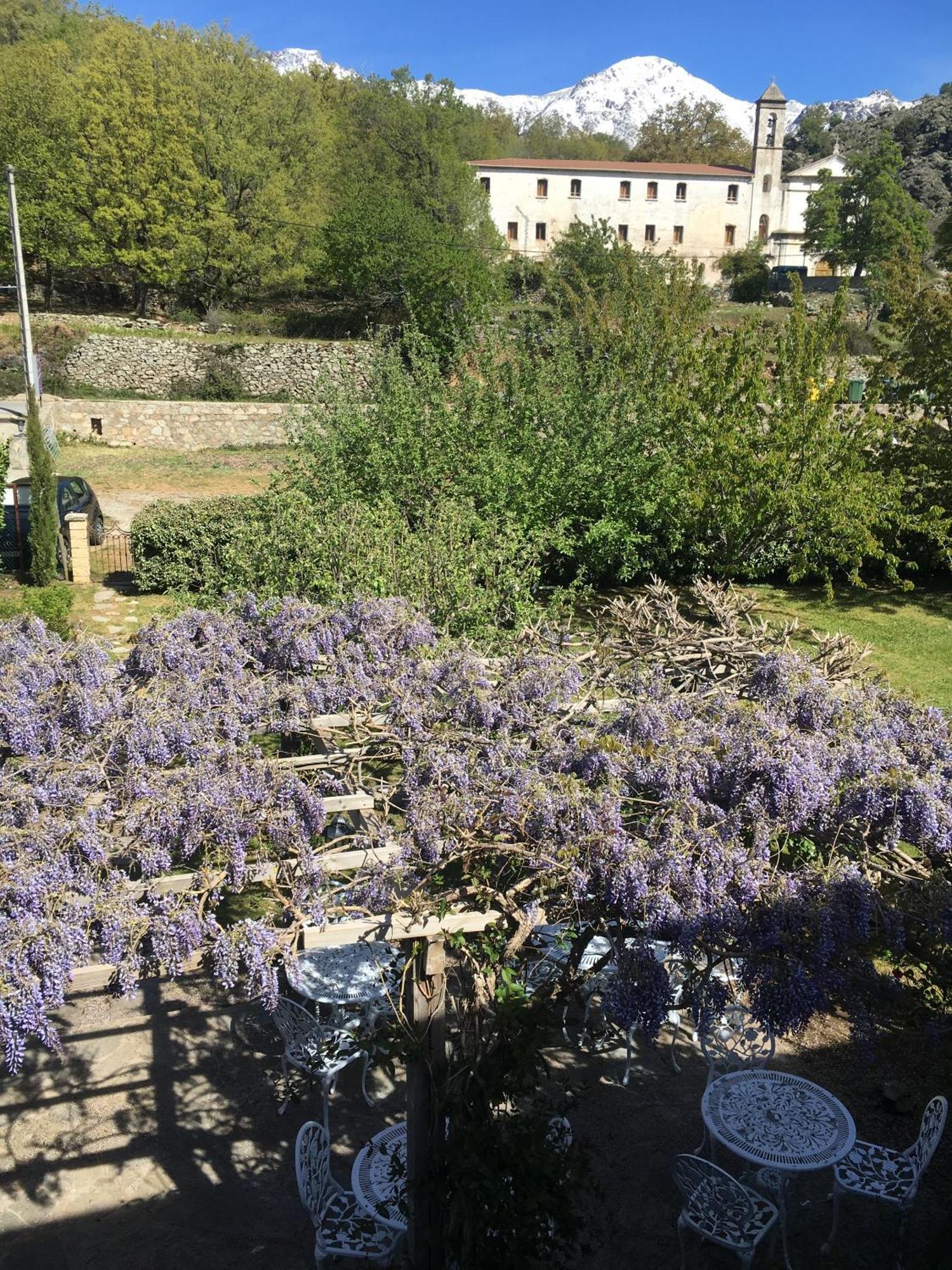 Casa Meridiana Calacuccia Pokoj fotografie